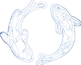 File:Logo fish blueprint.png